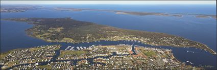 Raymond Island - VIC (PBH4 00 9493)